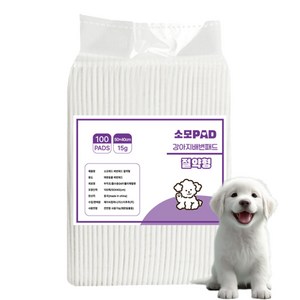 JCCOMPANY 소모 배변패드 15g, 100개입, 1개